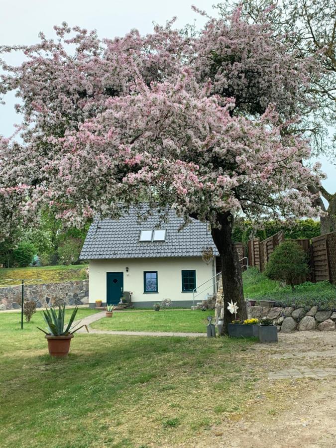 „Rentmeisterhaus Basedow“ Basedow  Exterior photo