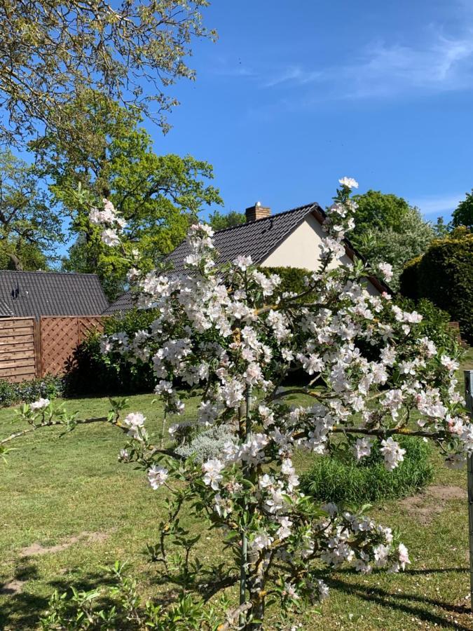 „Rentmeisterhaus Basedow“ Basedow  Exterior photo